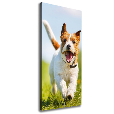 Fotografía en lienzo vertical perro Jack Russell