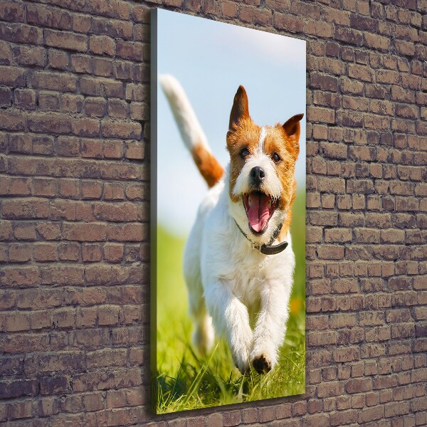 Fotografía en lienzo vertical perro Jack Russell