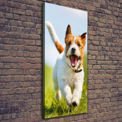 Fotografía en lienzo vertical perro Jack Russell