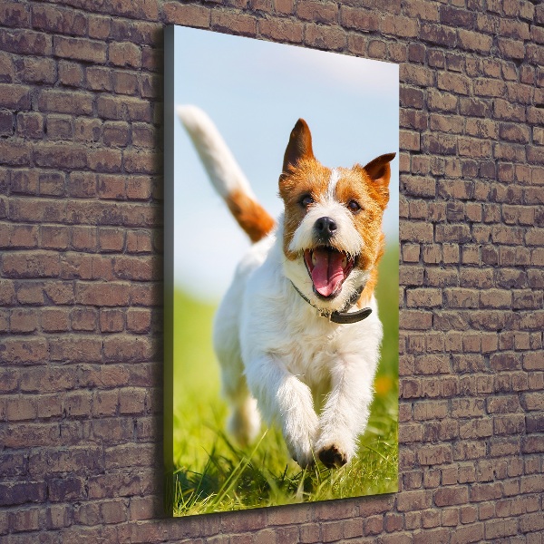 Fotografía en lienzo vertical perro Jack Russell