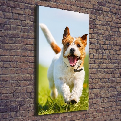 Fotografía en lienzo vertical perro Jack Russell