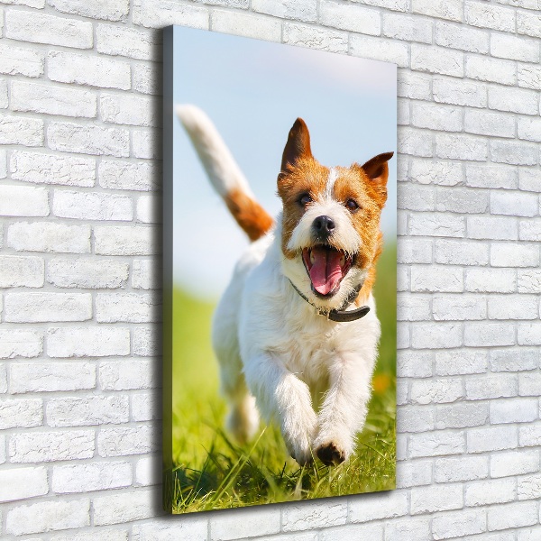 Fotografía en lienzo vertical perro Jack Russell