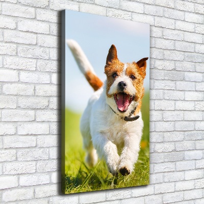Fotografía en lienzo vertical perro Jack Russell