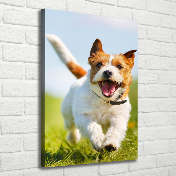 Fotografía en lienzo vertical perro Jack Russell