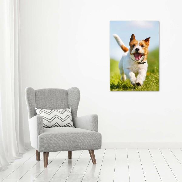 Fotografía en lienzo vertical perro Jack Russell