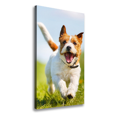 Fotografía en lienzo vertical perro Jack Russell