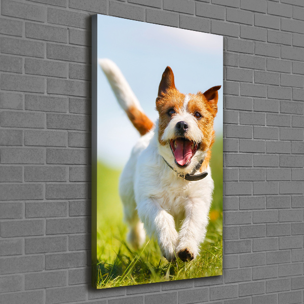 Fotografía en lienzo vertical perro Jack Russell