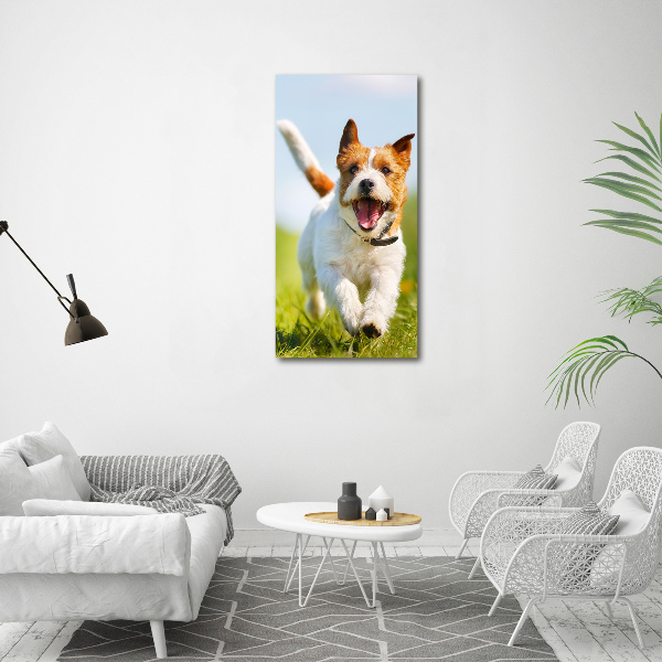 Fotografía en lienzo vertical perro Jack Russell