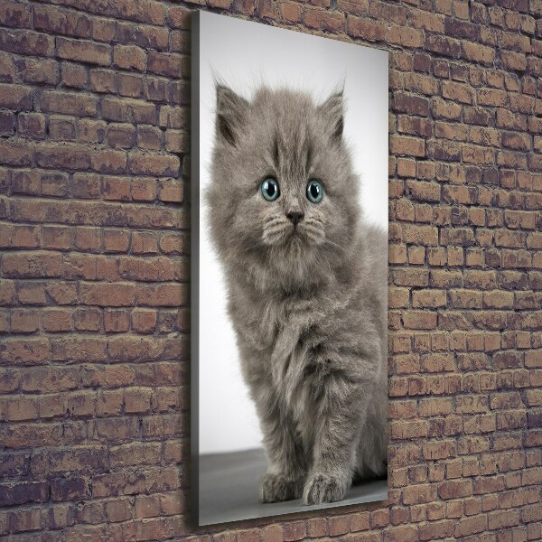 Cuadro moderno en lienzo resistente uv vertical Gato británico gris