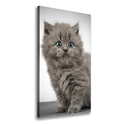 Cuadro moderno en lienzo resistente uv vertical Gato británico gris