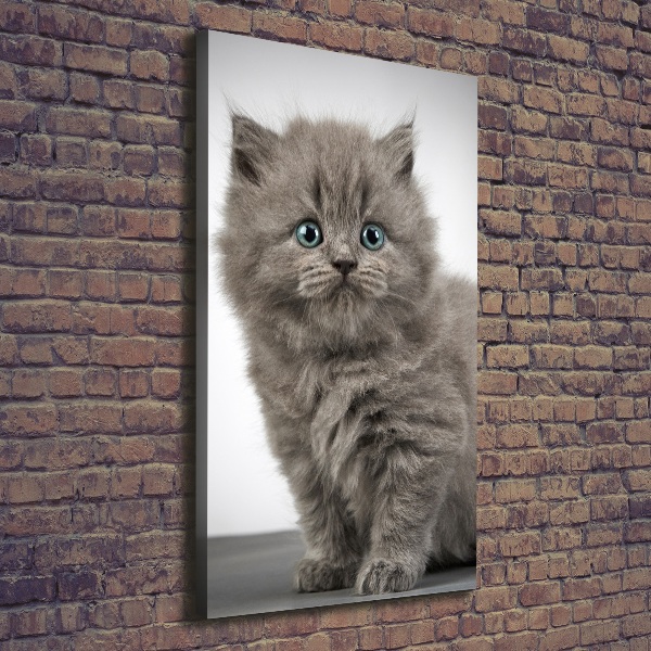 Cuadro moderno en lienzo resistente uv vertical Gato británico gris