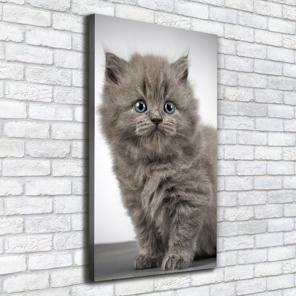 Cuadro moderno en lienzo resistente uv vertical Gato británico gris