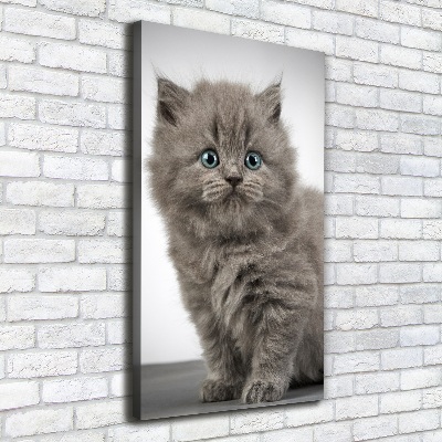 Cuadro moderno en lienzo resistente uv vertical Gato británico gris