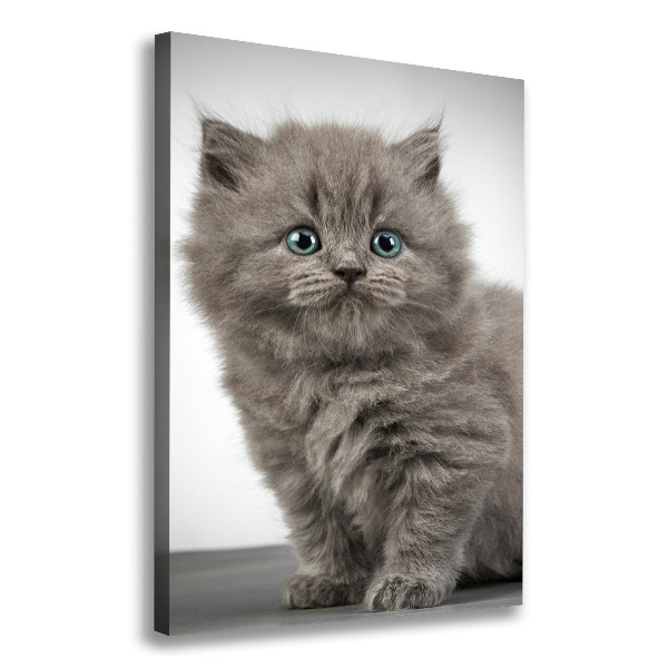 Cuadro moderno en lienzo resistente uv vertical Gato británico gris