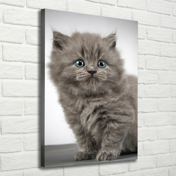 Cuadro moderno en lienzo resistente uv vertical Gato británico gris