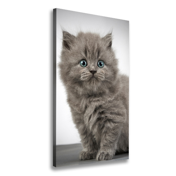 Cuadro moderno en lienzo resistente uv vertical Gato británico gris
