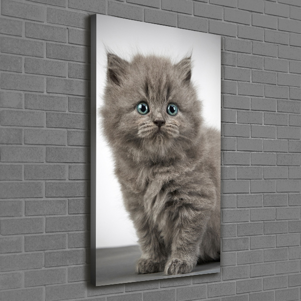 Cuadro moderno en lienzo resistente uv vertical Gato británico gris