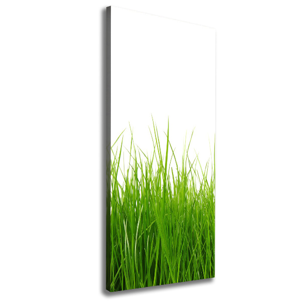 Cuadro canvas decorativo para salón vertical Hierba verde