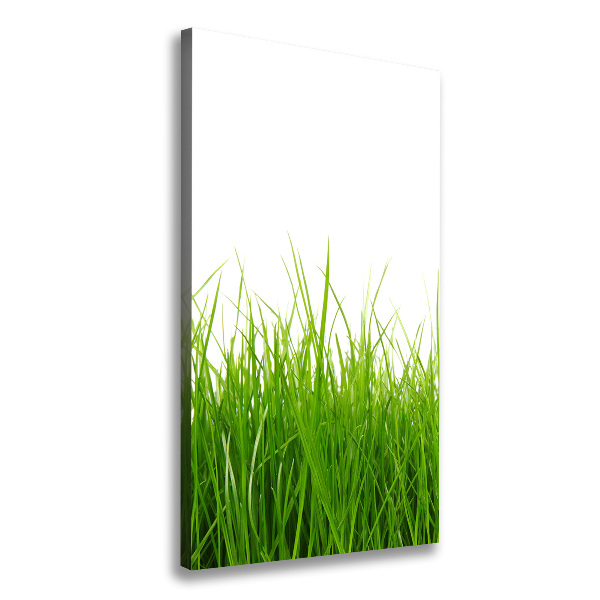 Cuadro canvas decorativo para salón vertical Hierba verde