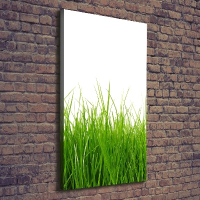 Cuadro canvas decorativo para salón vertical Hierba verde