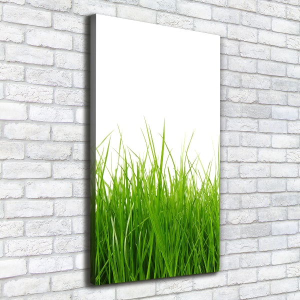 Cuadro canvas decorativo para salón vertical Hierba verde