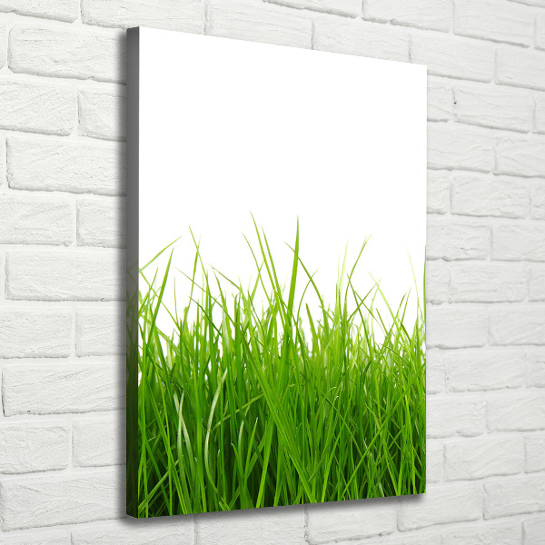 Cuadro canvas decorativo para salón vertical Hierba verde