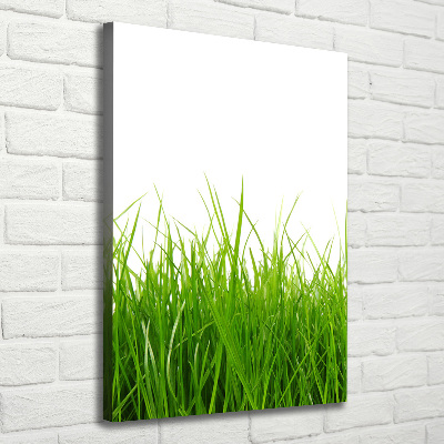 Cuadro canvas decorativo para salón vertical Hierba verde
