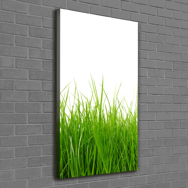 Cuadro canvas decorativo para salón vertical Hierba verde