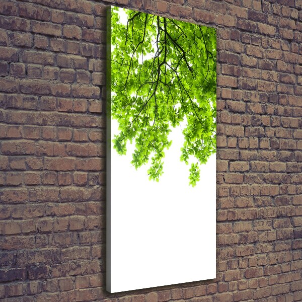 Cuadro moderno en lienzo resistente uv vertical Corona del árbol