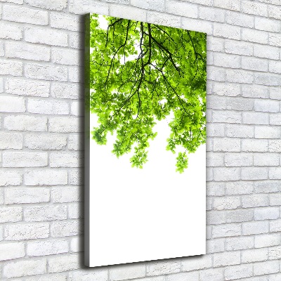 Cuadro moderno en lienzo resistente uv vertical Corona del árbol