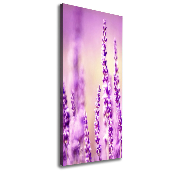 Cuadro canvas decorativo para salón vertical Lavanda
