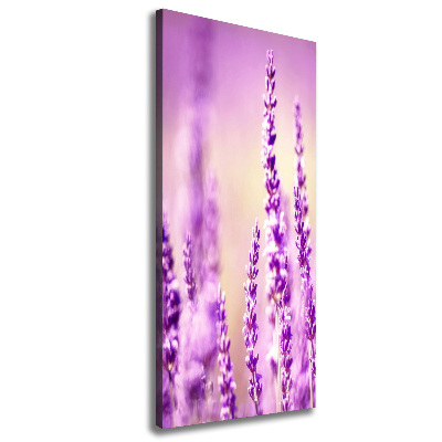 Cuadro canvas decorativo para salón vertical Lavanda