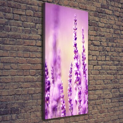 Cuadro canvas decorativo para salón vertical Lavanda