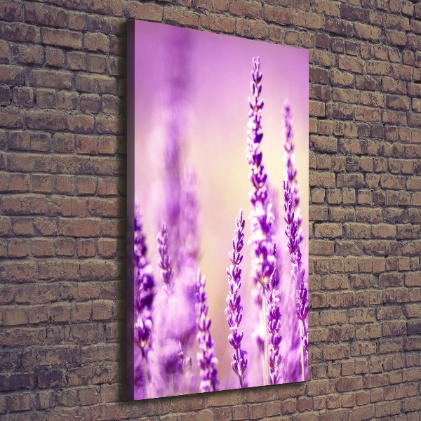 Cuadro canvas decorativo para salón vertical Lavanda