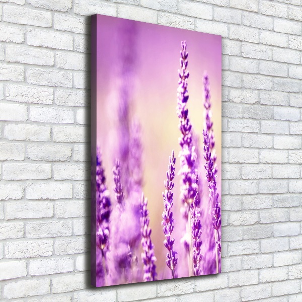 Cuadro canvas decorativo para salón vertical Lavanda