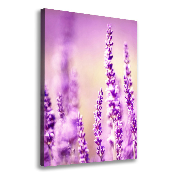 Cuadro canvas decorativo para salón vertical Lavanda