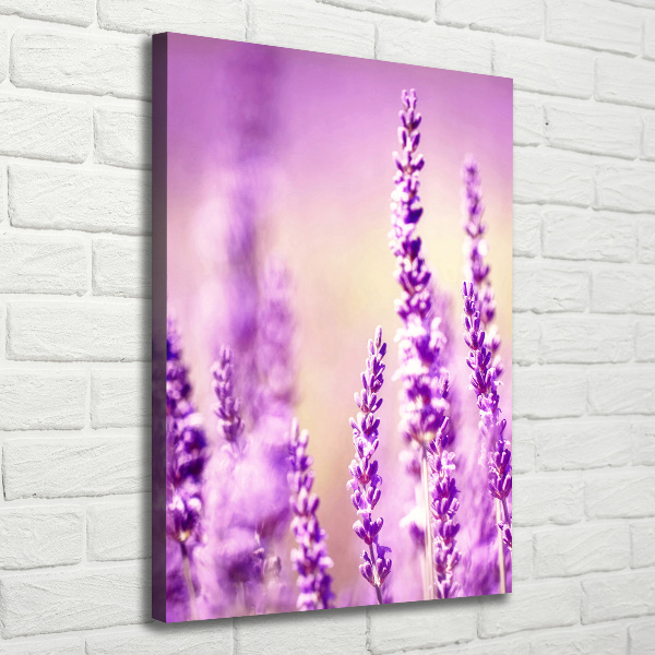 Cuadro canvas decorativo para salón vertical Lavanda