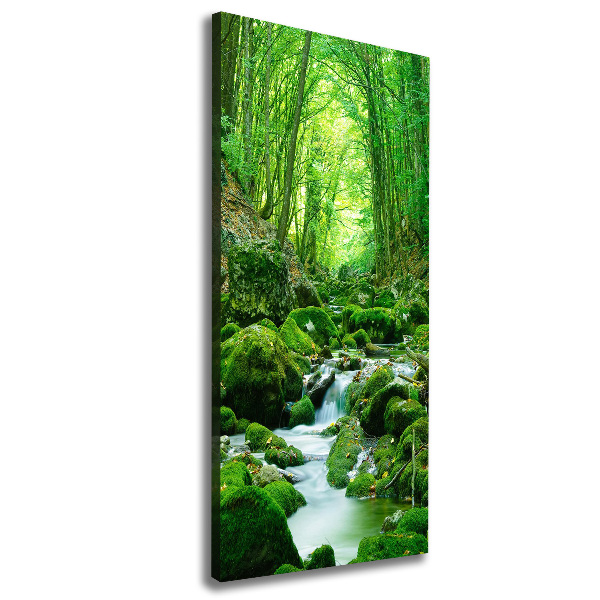 Cuadro canvas decorativo para salón vertical Un arroyo en la jungla