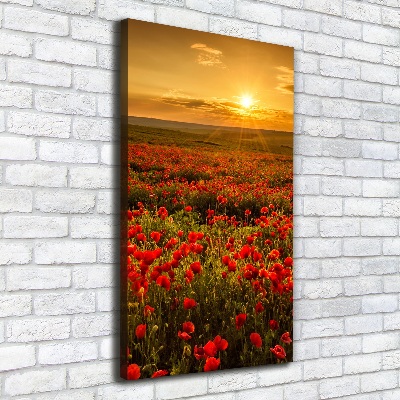 Cuadro moderno en lienzo resistente uv vertical Campo de amapolas