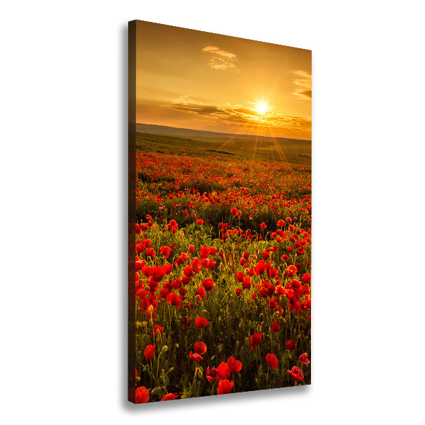 Cuadro moderno en lienzo resistente uv vertical Campo de amapolas