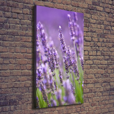 Fotografía en lienzo vertical campo de lavanda