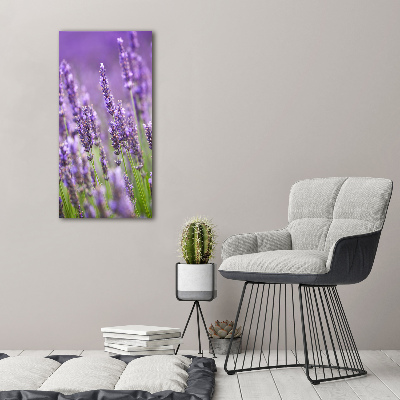 Fotografía en lienzo vertical campo de lavanda