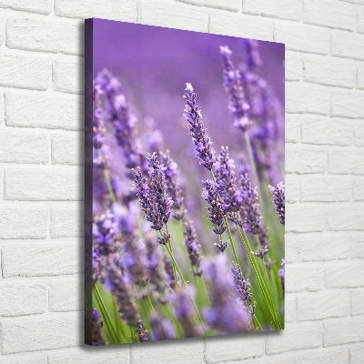 Fotografía en lienzo vertical campo de lavanda