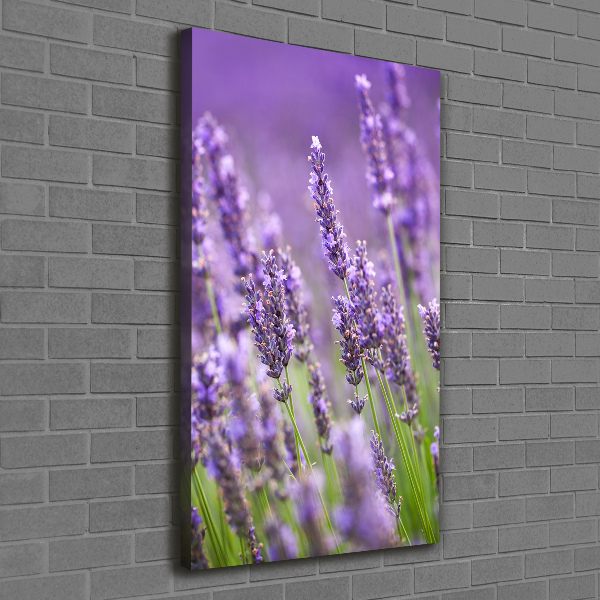 Fotografía en lienzo vertical campo de lavanda