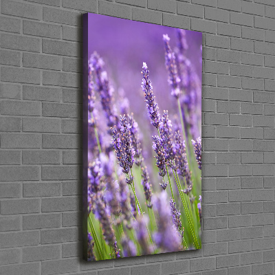 Fotografía en lienzo vertical campo de lavanda