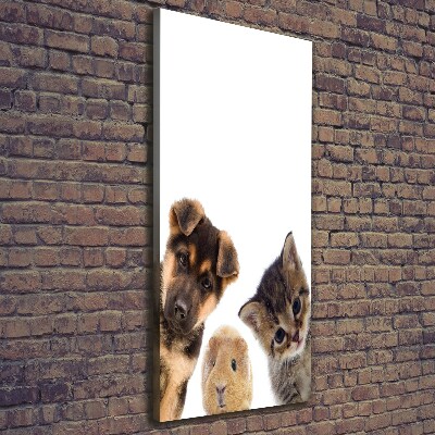 Foto obraz na płótnie pionowy Zwierzęta domowe