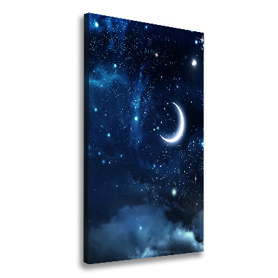 Cuadro canvas decorativo para salón vertical Cielo estrellado