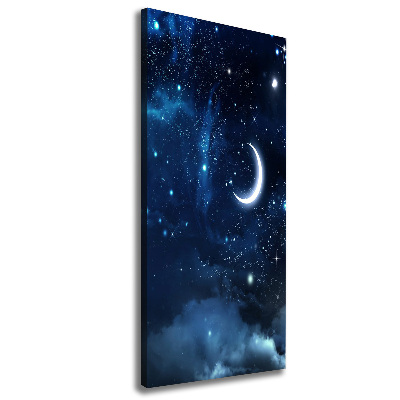 Cuadro canvas decorativo para salón vertical Cielo estrellado
