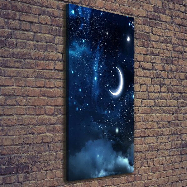 Cuadro canvas decorativo para salón vertical Cielo estrellado