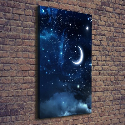 Cuadro canvas decorativo para salón vertical Cielo estrellado
